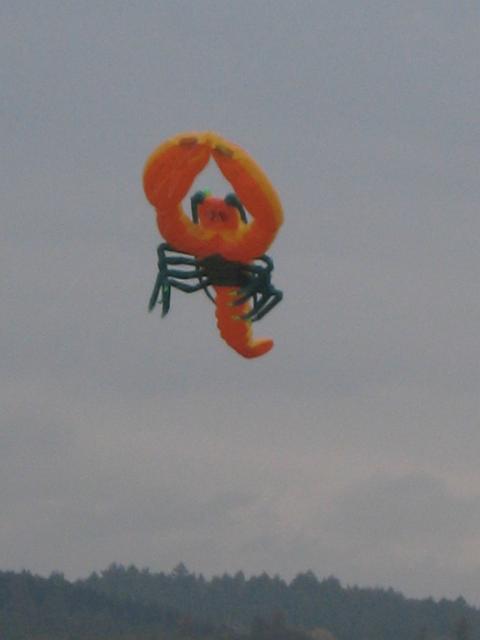 Bebra Bueren (59).jpg